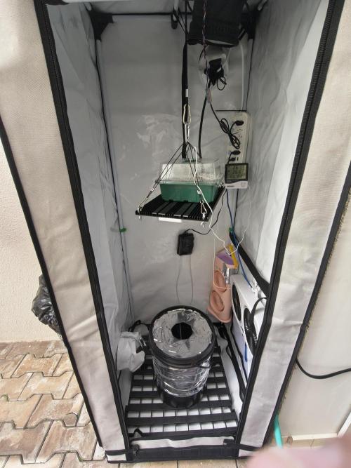 Primeiro ciclo dwc 60x60. Week 0 - Setup na estufa com ventiladores e exaustor ligados, borbulhador no dwc ligado