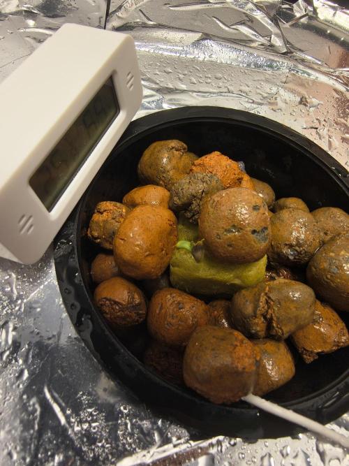 Primeiro ciclo dwc 60x60. Week 0 - Plantula d1 9/2