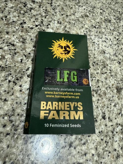 LFG Barney’s Farm(Let’s fucking go). Week 0