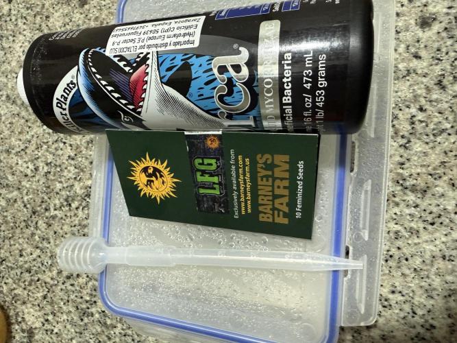 LFG Barney’s Farm(Let’s fucking go). Week 0