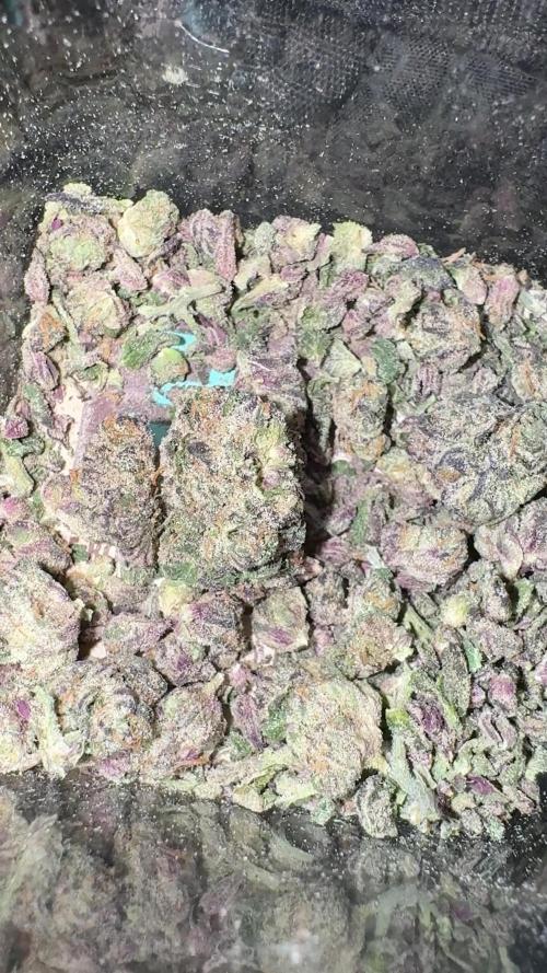 Ice Cream Cake (Seedjunky cut)
