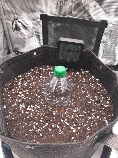 Garlic budder auto living soil test. Week 0