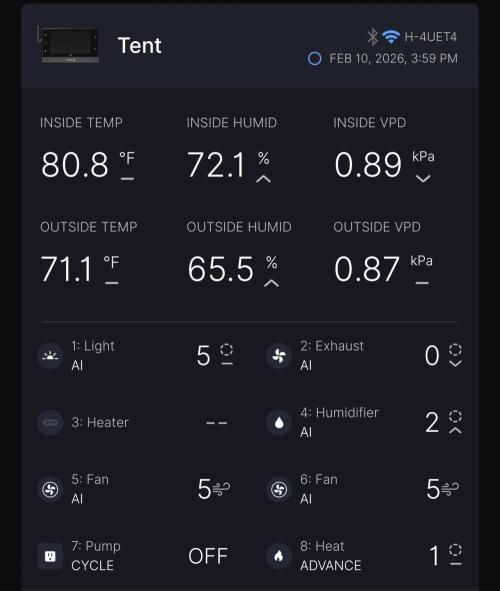 KC Lobster Bisque. Week 2