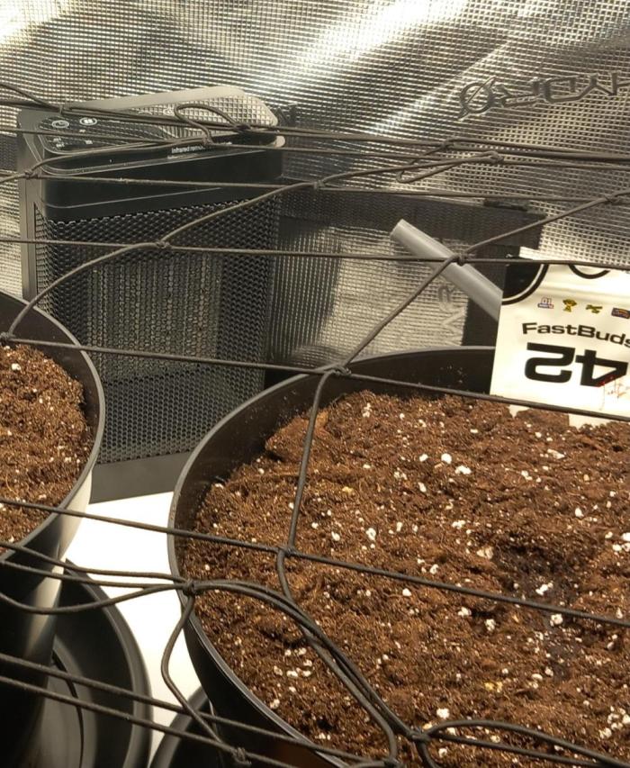 Kusher0492!. Week 0 - Ontkiemen
 Beginner