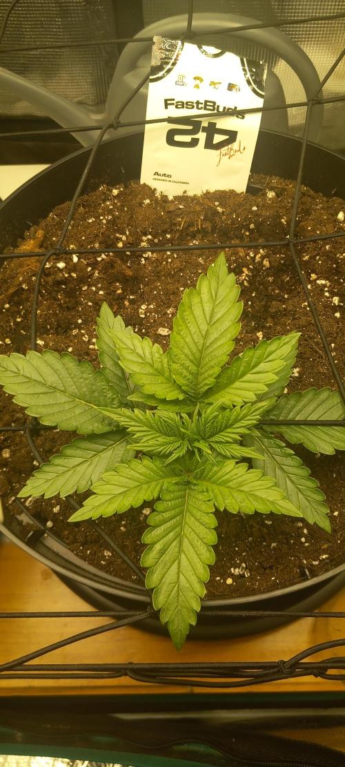 Kusher0492!. Week 1