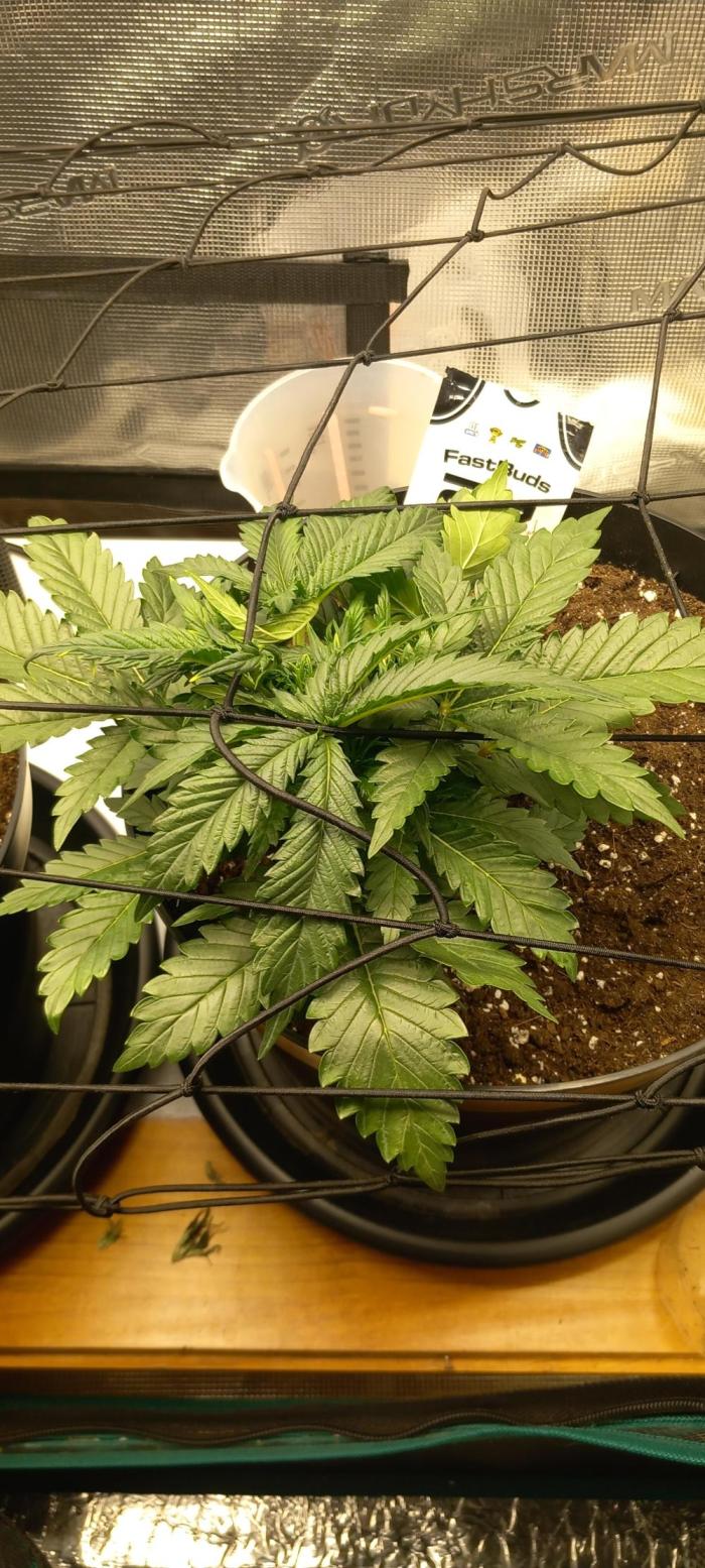 Kusher0492!. Week 5