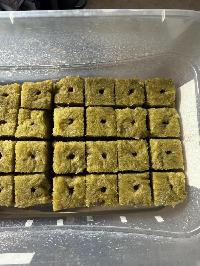 Feb 2026. Week 0