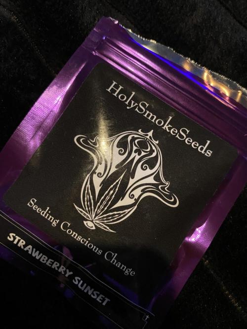 First coco Strawberry Sunset. Week 0