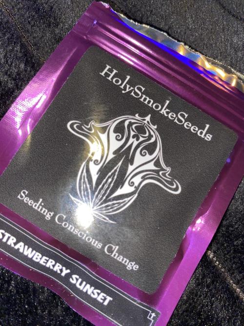 First coco Strawberry Sunset. Week 0