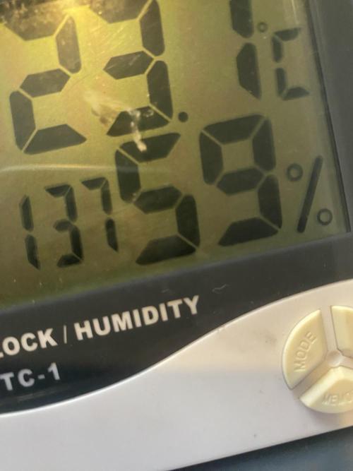 First coco Strawberry Sunset. Week 0