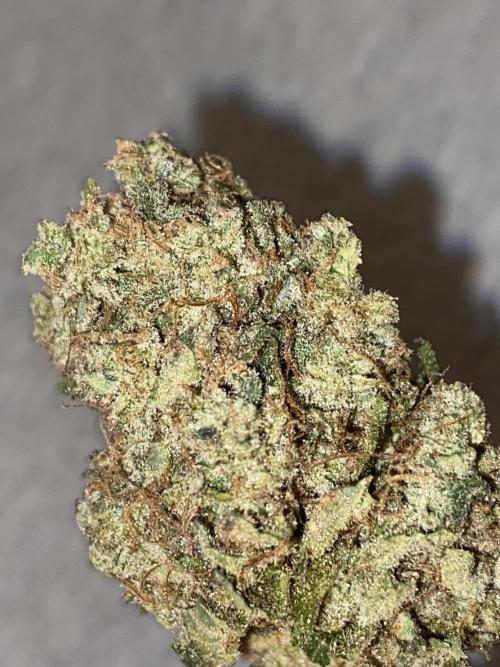 Strawberry Stardawg / Wedding Sunset. Week 11