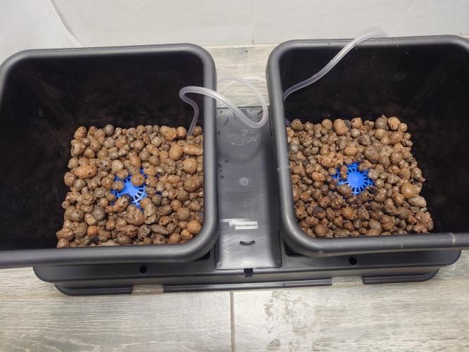 Sour Jealousy - First coco grow. Week 0 - First layer of clay pebbles with airdome at the bottom.