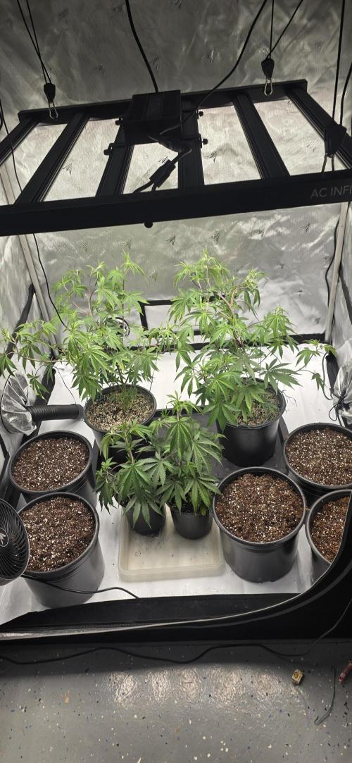 IDC Outdoors. Week 5
