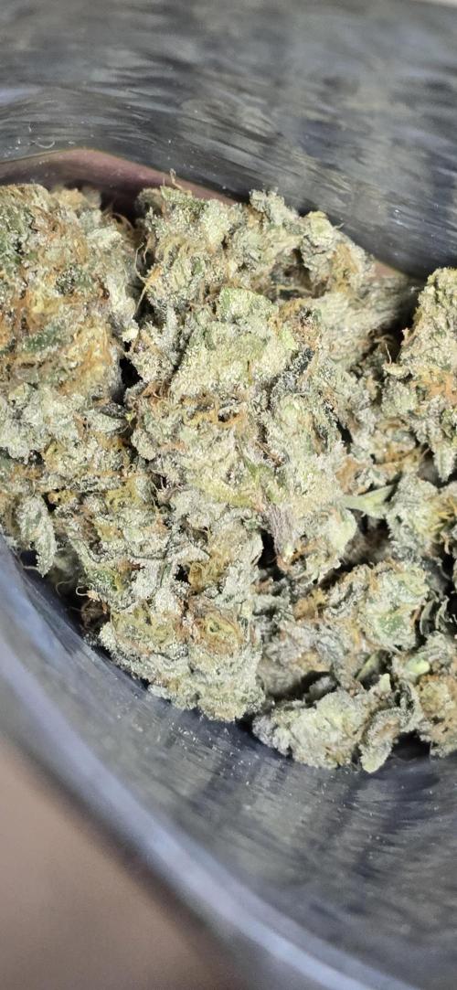 Ice Dream Cake. Week 13