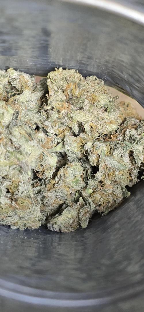 Ice Dream Cake. Week 13