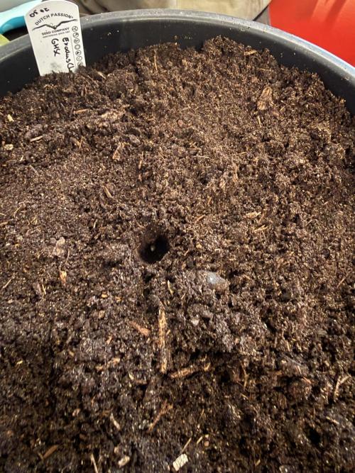 Grow 1 Q1 2026. Week 0 - Soil 05.02