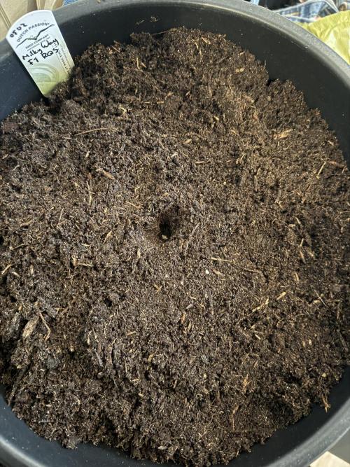 Grow 1 Q1 2026. Week 0 - Soil 05.02