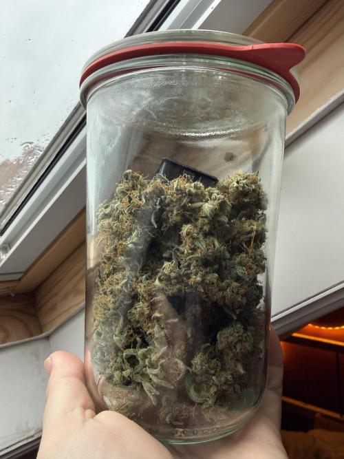 G2.1.26. Week 10 - 08.06 one jar of weed, after 4 days 21C-60%. 