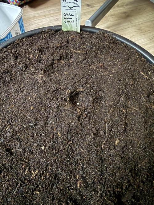 G4.2.26 - GHSC Skywalker. Week 0 - 17.06