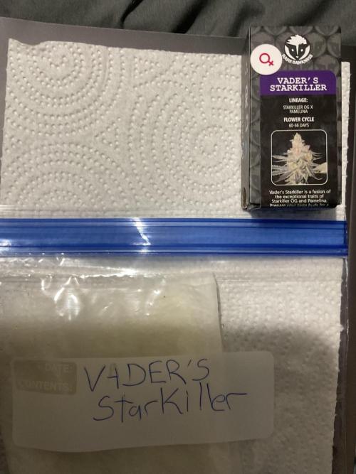 New To Growing. Week 0