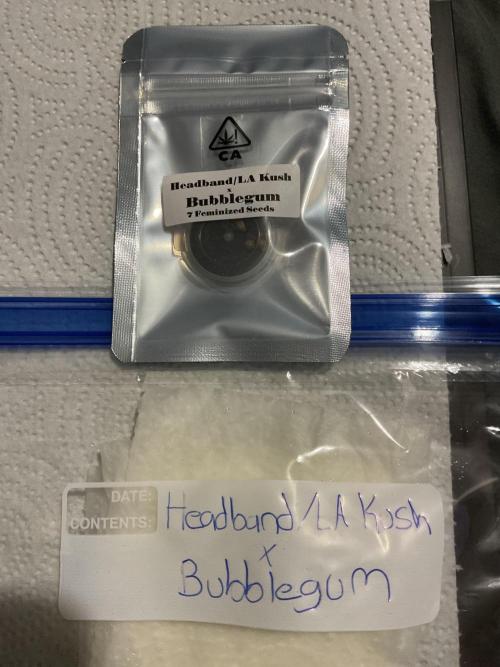 New To Growing. Week 0