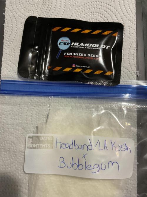 New To Growing. Week 0