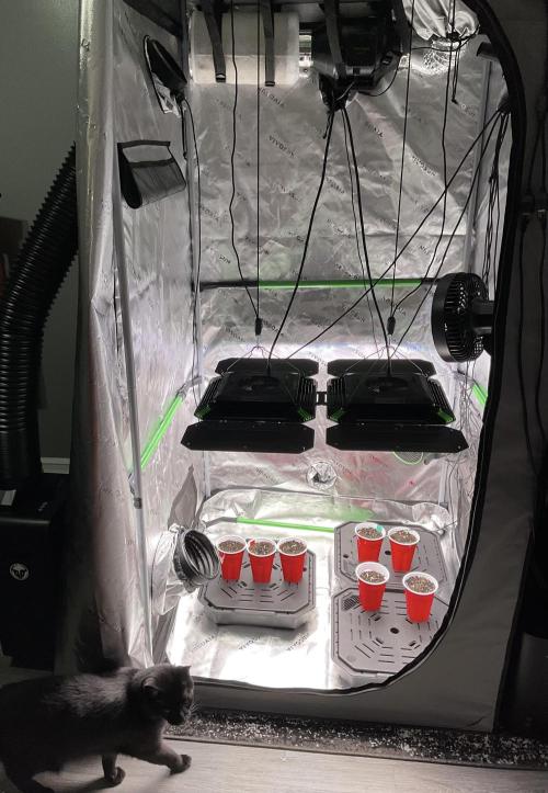 New To Growing. Week 0