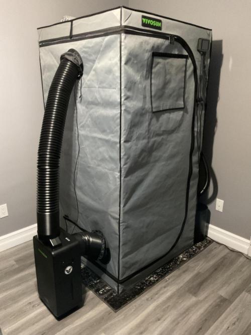 New To Growing. Week 0