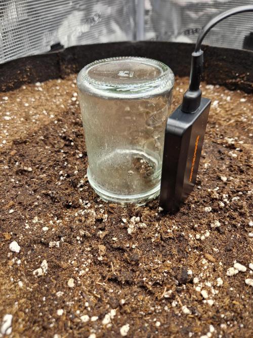 Zkittlez and Tropicana Cookies. Week 0 - Zkittlez