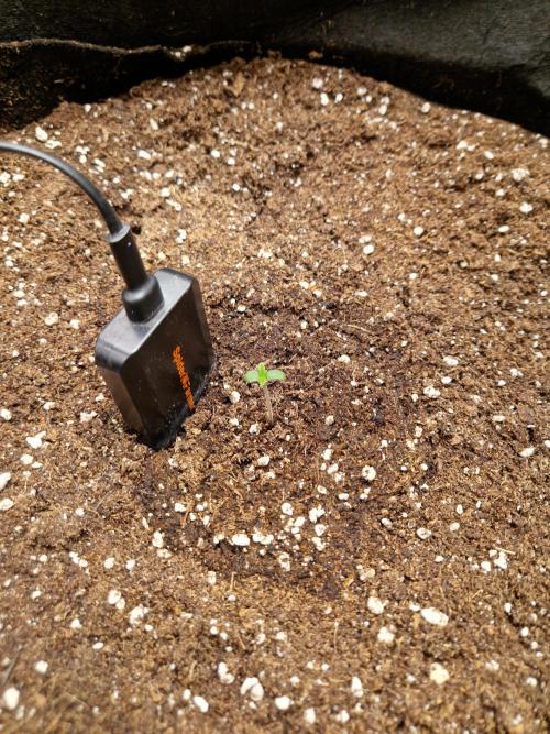 Mix Pack Auto RF3. Week 1 - 20.6