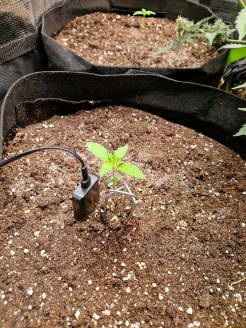 Mix Pack Auto RF3. Week 2 - 26.6
