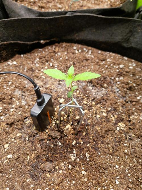 Mix Pack Auto RF3. Week 2 - 25.6