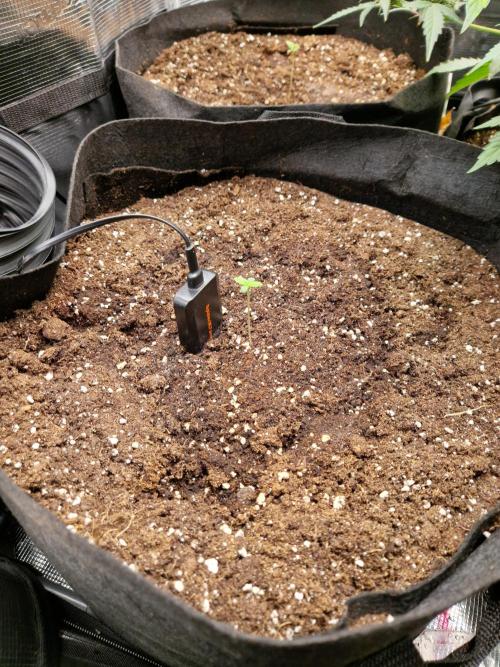 Mix Pack Auto RF3. Week 2 - 22.6