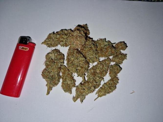 Zkittlez and Tropicana Cookies. Week 13