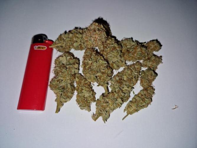 Zkittlez and Tropicana Cookies. Week 13