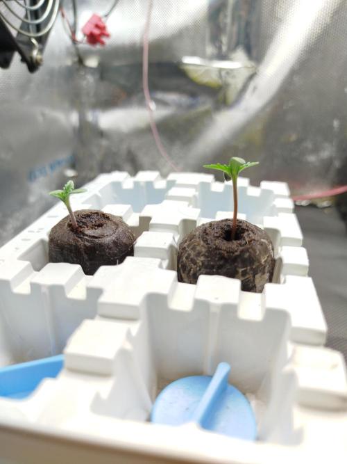 Můj první deník. Week 0