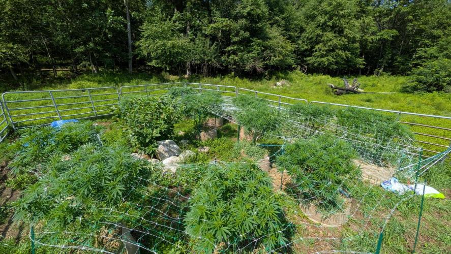 Outdoor organic 2026.. Week 17