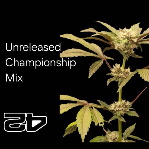 Unreleased Champions Mix Auto. Week 0