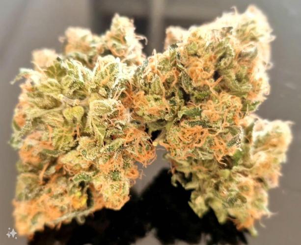 Girl Scout Cookies. Week 9