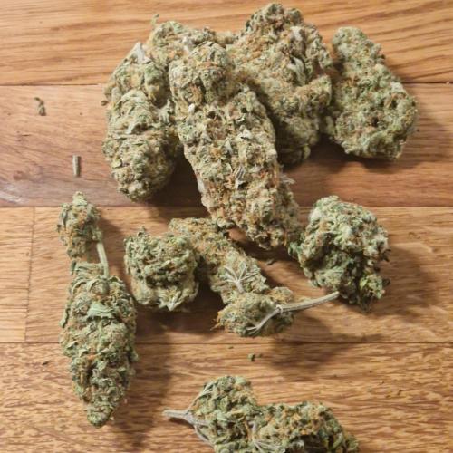 Girl Scout Cookies. Week 9