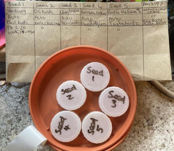 5 x Auto Grow 2026. Week 0 - Pre soak 