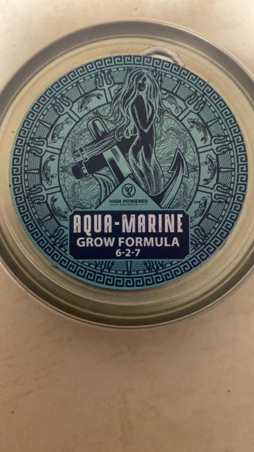 Runtz Auto. Week 2