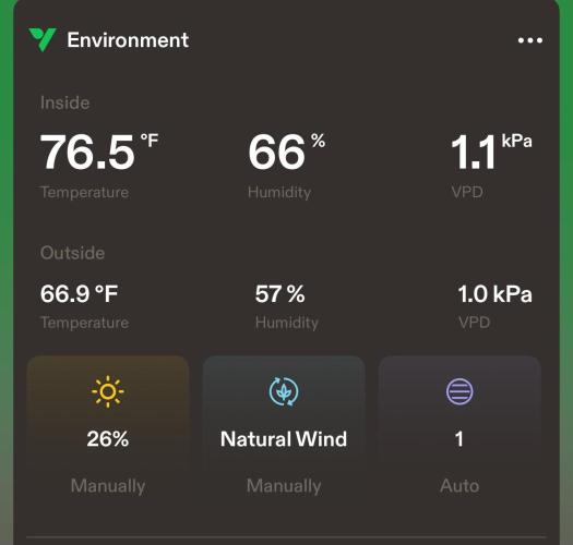 1st indoor grow. Week 0 - Pretty average for environment. 