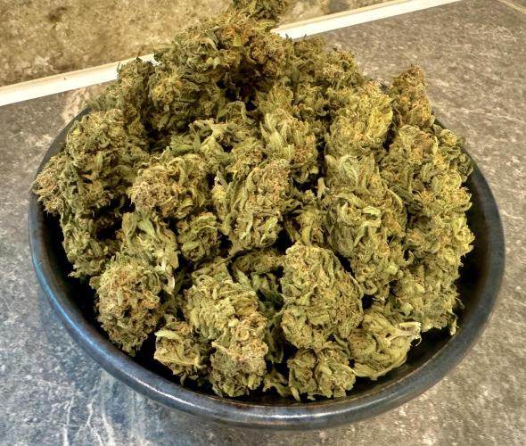 1st indoor grow. Week 12
