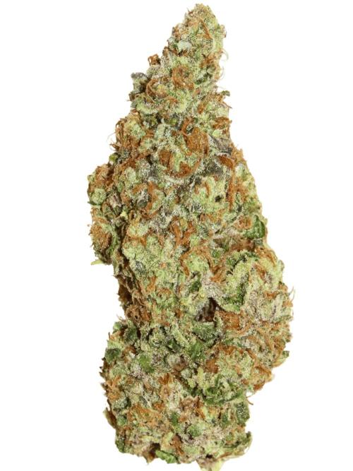 Papaya Cake CloneOnly LS DryAmend Run #1. Week 14