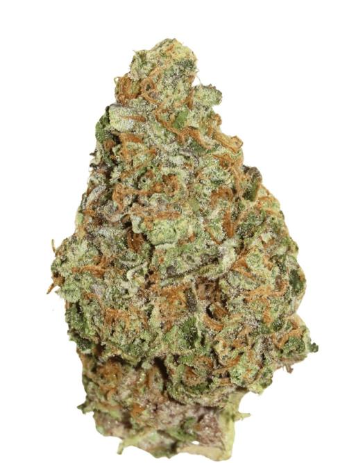 Papaya Cake CloneOnly LS DryAmend Run #1. Week 14