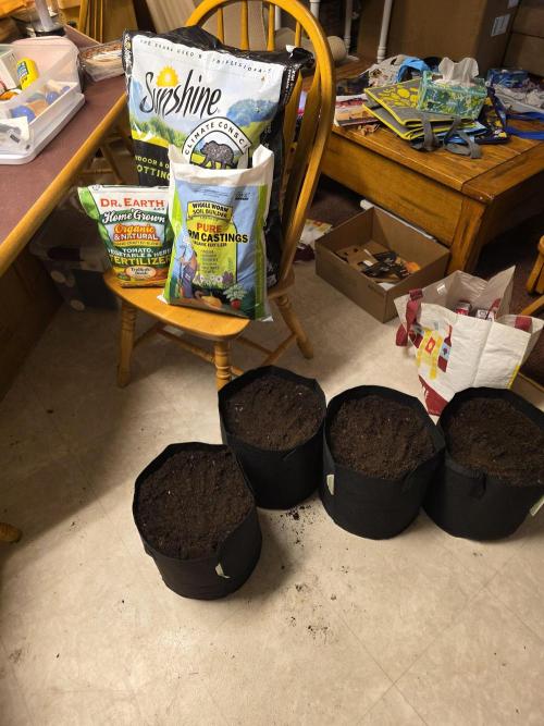 1st grow. Week 0