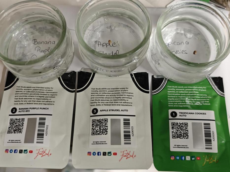 EllysGrow. Week 0 - Neues Jahr, neues Glück!