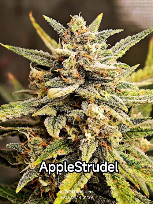 EllysGrow. Week 9 - 🍏🥧 Mitte 9. Woche