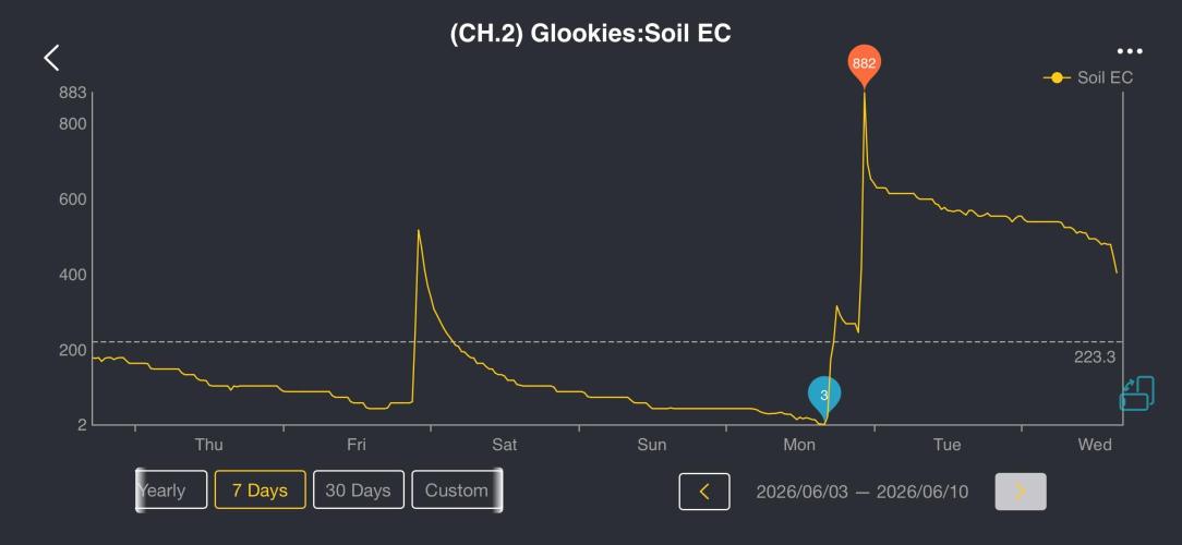2026 | Glookies | Mystery Seed. Week 4